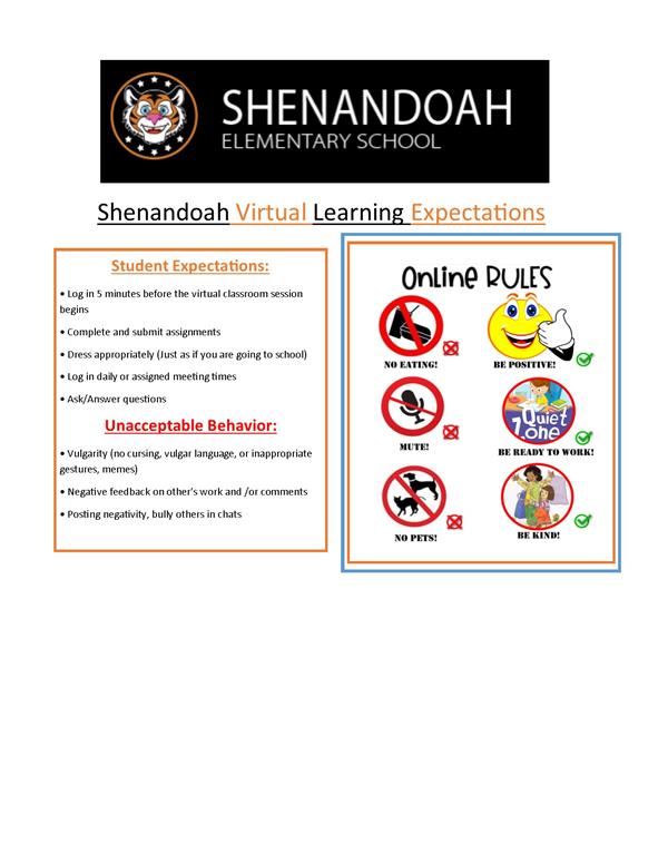 Virtual Learning Expecations 